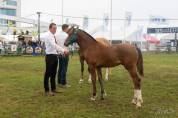 Rory de Roumont 