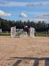 Hongre 13 ans OC polyvalent loisir et CSO