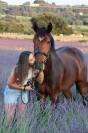 Hongre 13 ans OC polyvalent loisir et CSO