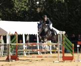 partenaire sportif talentueux / cheval junior/enfants