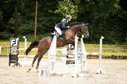 partenaire sportif talentueux / cheval junior/enfants