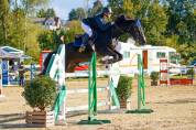 partenaire sportif talentueux / cheval junior/enfants