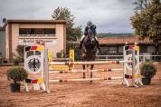 partenaire sportif talentueux / cheval junior/enfants