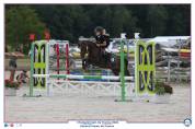Gelding French Saddle Pony For loan 2017 Liver chestnut