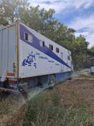 CAMION CHEVAUX 11 PLACES