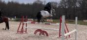 PONEY POUR CCE ET CSO AS2
