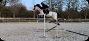 PONEY POUR CCE ET CSO AS2