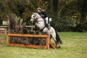 PONEY POUR CCE ET CSO AS2