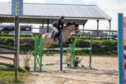 PONEY POUR CCE ET CSO AS2