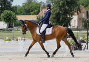 DP Maisons-laffitte Poney Maxi C