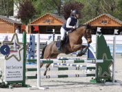 DP Maisons-laffitte Poney Maxi C