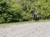 Ponette ONC 1m45 4 ans