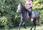 Ponette ONC 1m45 4 ans