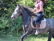 Ponette ONC 1m45 4 ans