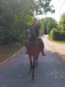Ponette ONC 1m45 4 ans