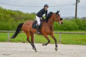 Jument CSO 130 amateur EL
