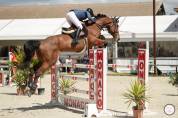 Jument CSO 130 amateur EL