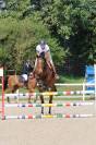 KWPN 11 ans – 1m66 – CSO 110 – Idéale amateur – 13000 €
