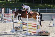 KWPN 11 ans – 1m66 – CSO 110 – Idéale amateur – 13000 €