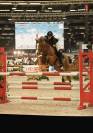 Poney de Sport CSO