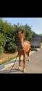 5 ans cso