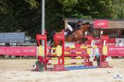 Jument de 6 ans cso