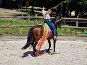 Cheval espagnol 13 ans