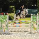 Femelle PFS 2025 - Belles origines pour sport ou repro