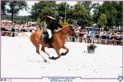 Fidèle de Ouf - ponette welsh Cob -10 ans - palomino