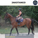 JAKOTANGO - TF - 6 ANS
