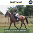 JAKOTANGO - TF - 6 ANS