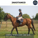 JAKOTANGO - TF - 6 ANS