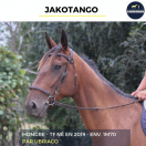 JAKOTANGO - TF - 6 ANS