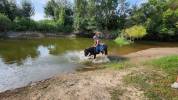 Cherche Cavalier/Cavalière pour Chevaux de Loisir