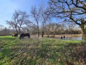 Cherche Cavalier/Cavalière pour Chevaux de Loisir