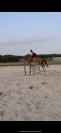 AES de 8 ans par Bon tanito Z x Affair M 