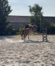 AES de 8 ans par Bon tanito Z x Affair M 