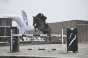 Cheval sf 8 ans