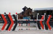 Cheval sf 8 ans