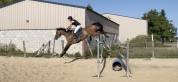 Top cheval potentiel 130/135