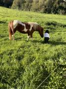 Lolita Ponette de 4 ans pie 