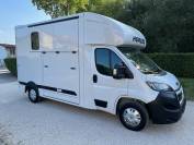 Van per Cavalli Altra marca PEUGEOT 0 Nuovo