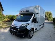 Van per Cavalli Altra marca PEUGEOT 0 Nuovo
