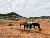 Ranch de balade