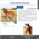 Vente Pouliche 2025