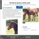 Vente Poulain Male 2025