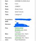 Jument 5 ans 