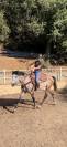 Cheval 
