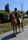 Cheval de loisir 