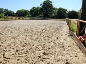 Pension box/paddock cheval 